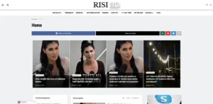 risi3d.com
