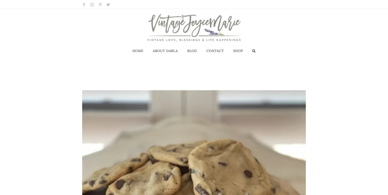 vintagejoycemarie.com